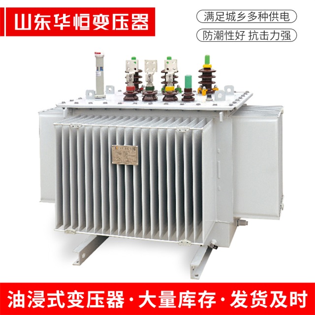 S13-10000/35革吉革吉革吉电力变压器